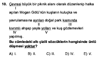 2016 YGS Türkçe 10. Soru